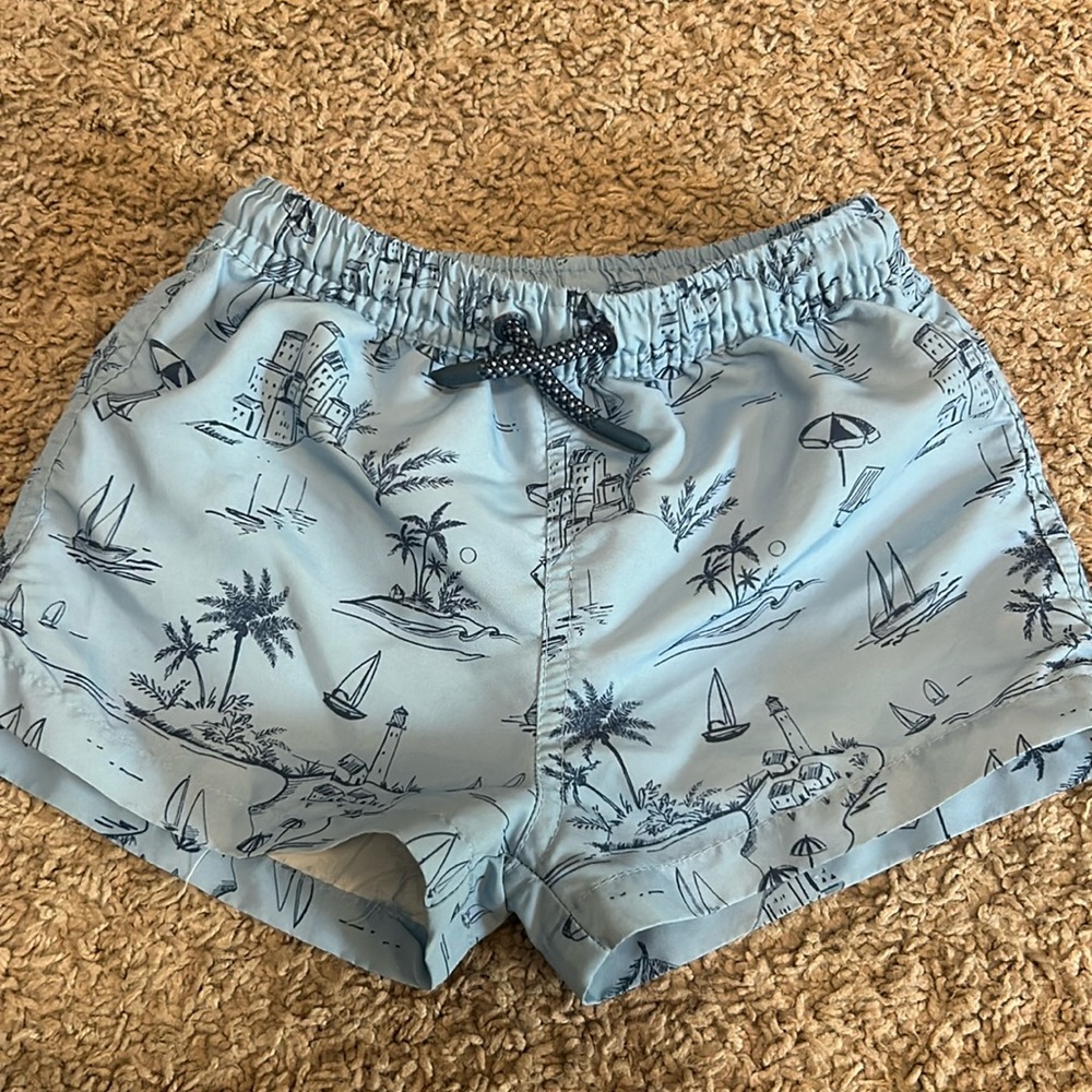 Zara Swim Trunks